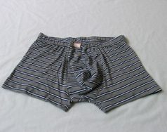 Underwear, Men`s Briefs, Shorts (Underwear, Men`s Briefs, Shorts)