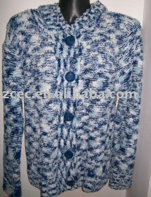 ladies` sweater (ladies` sweater)