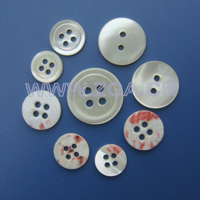 Trocas Button Shell, Shell-Taste, Kleidung Button (Trocas Button Shell, Shell-Taste, Kleidung Button)