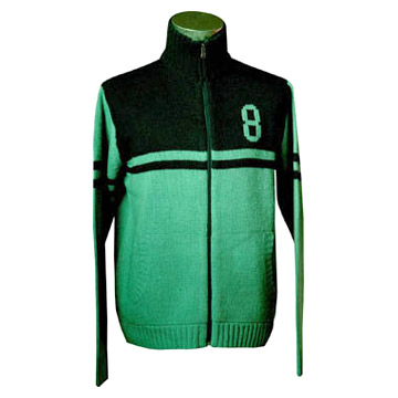 Men`s Sweater (Men `s Pullover)