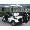 gasoline Golf Cart(DS-GGF06)