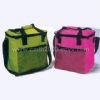 cooler bag (Sac isotherme)