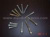 Hex Head Wooden Screw (Hex Head Holzschraube)