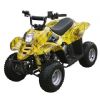 50CC Mini Cheaper Price ATV/Quad  (ATV 1-A) (Günstiger Preis 50CC Mini ATV / Quad (ATV-1-A))