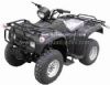 250CC ATV(ATV250S) (250CC ATV (ATV250S))