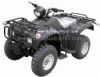 ATV 250CC (ATV250S) (ATV 250CC (ATV250S))