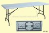 plastic folding table (Table pliante en plastique)