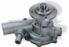 Auto Water Pump