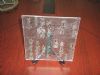 clear glass plate (clear glass plate)