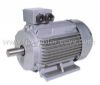 Y2 series three-phase induction motor