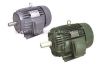 AEEF SERIES IEC STANDARD THREE-PHASE INDUCTION MOT