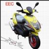 EEC Scooter 150cc(EEC%26EPA) (EEC Scooter 150cc(EEC%26EPA))