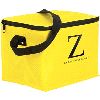 cooler bag