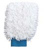 washing mitt