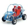 250cc Go Kart