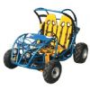 150cc Go Kart (150cc Go Kart)