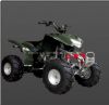 250cc ATV (250cc ATV)