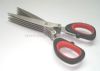 SCISSOR