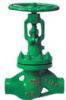 Globe Valve