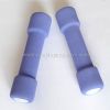 mini dumbbells (mini-haltères)