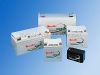 sealed,maintence free,lead-acid batteries (sealed,maintence free,lead-acid batteries)