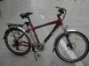 Electric Bike (Electric Bike)