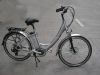 Electric Bike (Elektro-Fahrrad)