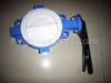 PTFE Butterfly Valve