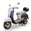 Electric motorcycle 800W JSL-TDL108X (Elektro-Motorrad-800W JSL-TDL108X)