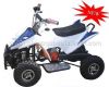 49cc MINI QUAD (49cc MINI QUAD)