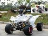 110CC ATV (110CC ATV)