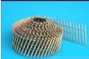 coil nail (coil nail)