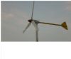 S.E.500(500W) (S.E.500(500W))