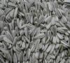 Sunflower Seeds