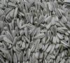 Sunflower Seeds (Sonnenblumenkerne)