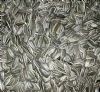 Sunflower seeds