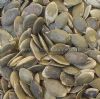 Pumpkin Seeds