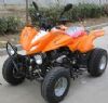 TS250/300-3 ATV (TS250/300-3 ATV)