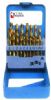 21pcs Hss Twist Drill Set