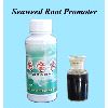 Seaweed Root Promoter (Root algues Promoteur)