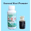 Seaweed Root Promoter (Seaweed Root Promoter)