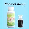 Seaweed Boron