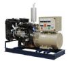 Open Diesel Generator Set (Open Diesel Generator Set)