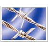 barbed iron wire mesh (treillis de fil de fer barbelé)
