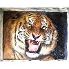 Animal Tiger oil painting (Animal Tiger peinture à l`huile)