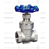 gate valve