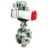 butterfly valve