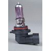 HALOGEN BULB 9006(PURPLE) (Halogen-Glühlampe 9006 (PURPLE))