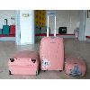 trolley case VL (trolley case VL)