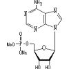 5` -Adenosine Monophosphoric Acid(Free Acid) (5 `-аденозин Monophosphoric кислота (свободная кислота))